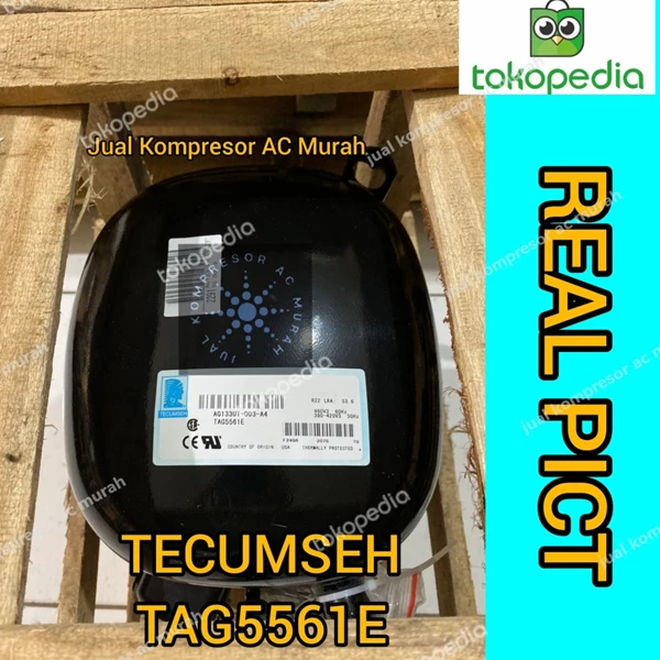 Compressor Tecumseh TAG5561E / Kompresor Tecumseh TAG5561E