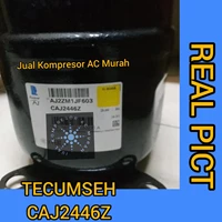 Compressor Tecumseh CAJ2446Z /Kompresor Tecumseh CAJ2446Z